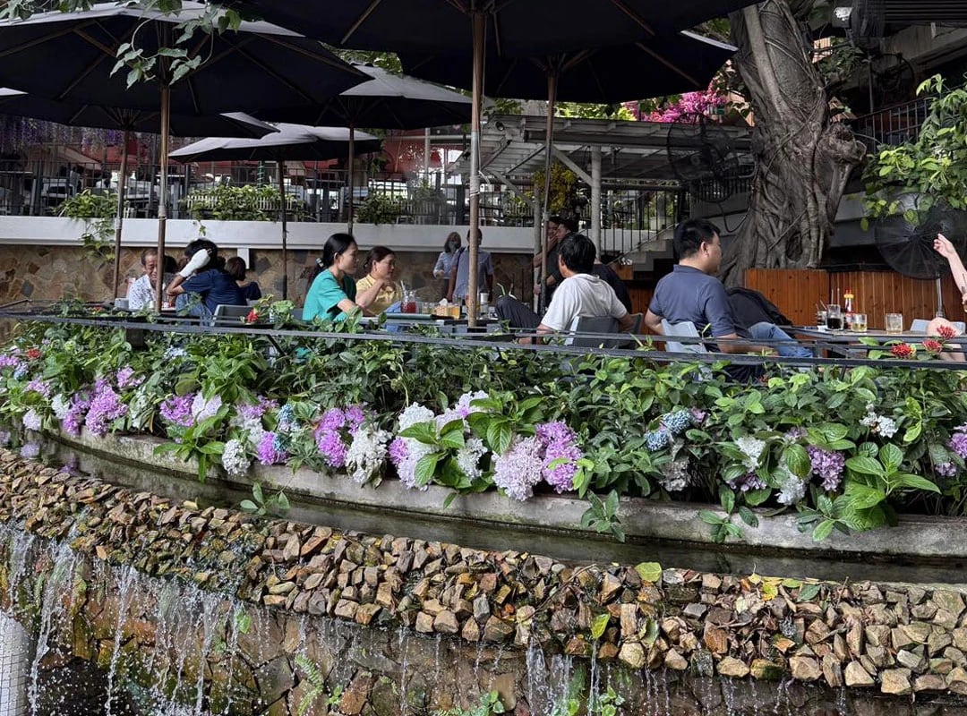 A spacious garden café with ponds and tranquil pathways 